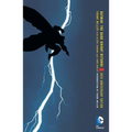 Batman: The Dark Knight Returns