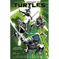 Teenage Mutant Ninja Turtles, Vol. 1: Return to New York